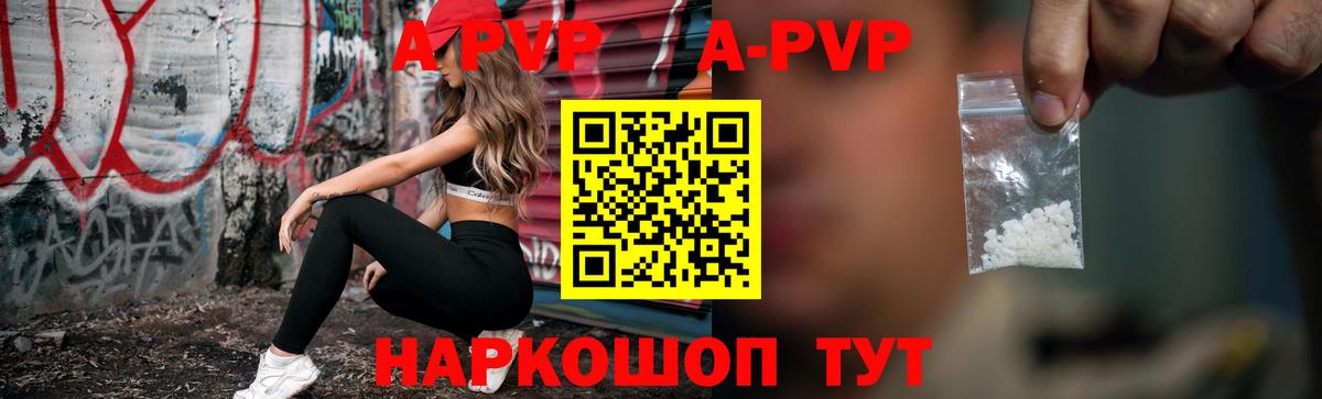 Alfa_PVP СК Бердск