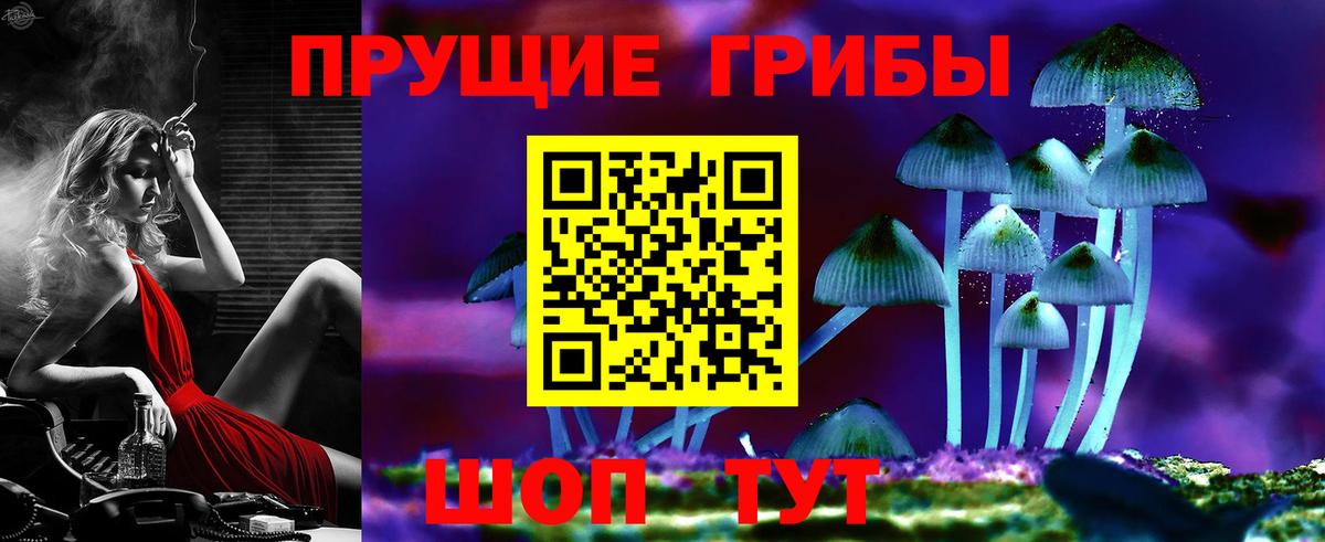 Бердск  Галлюциногенные грибы Cubensis  Галлюциногенные грибы Psilocybe  Вход с VPN 
