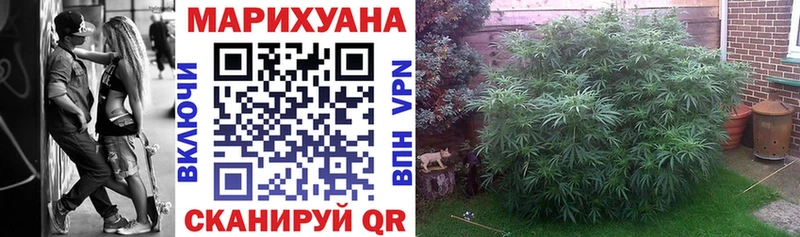 купить наркотик  Бердск  Каннабис семена 